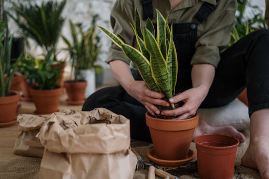 lightweight gardening tools