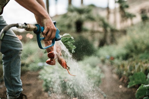 freshly harvested vegetables