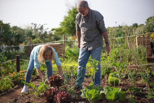 sustainable gardening with seniors