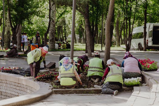 a group of volunteers working in a community garden