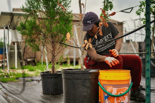 a gardener tending to plants