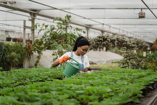 a person watering a plant in a small garden