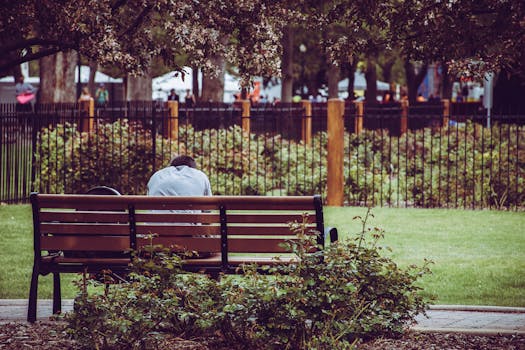 image of a peaceful garden setting for meditation