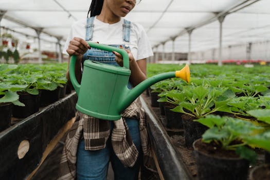 gardener watering plants