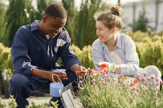 person planting flowers in a small garden