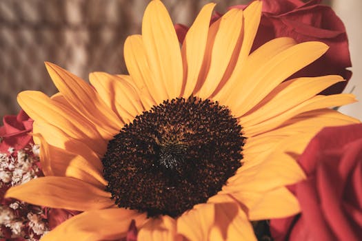 classroom setting for gardening