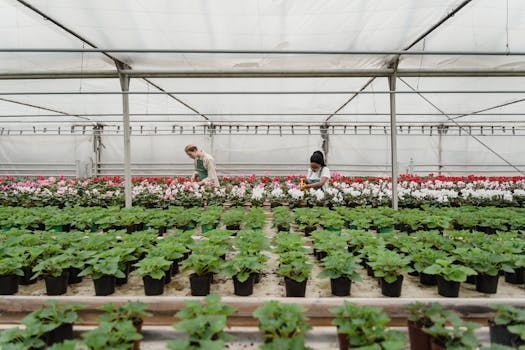 a gardener tending to flowers